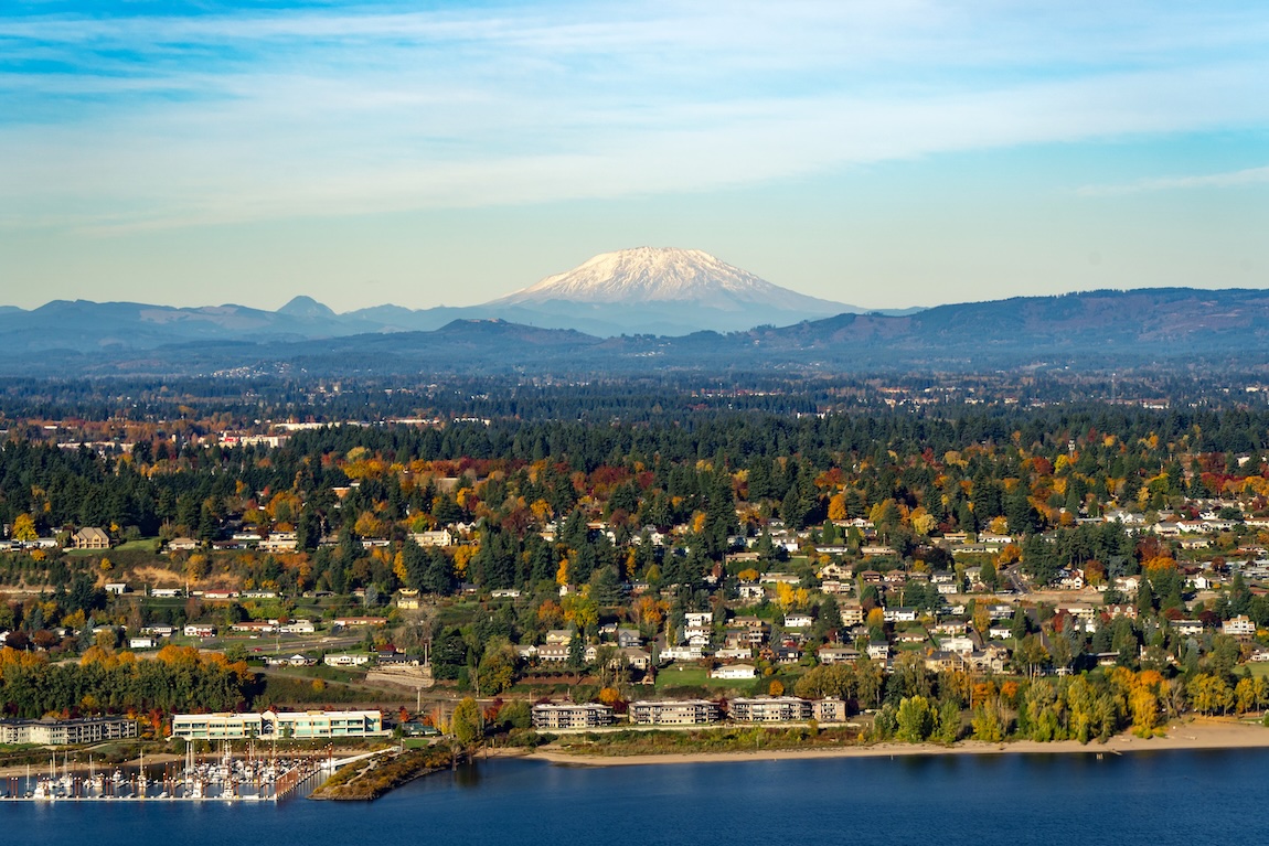 view of mountain and trees in washington