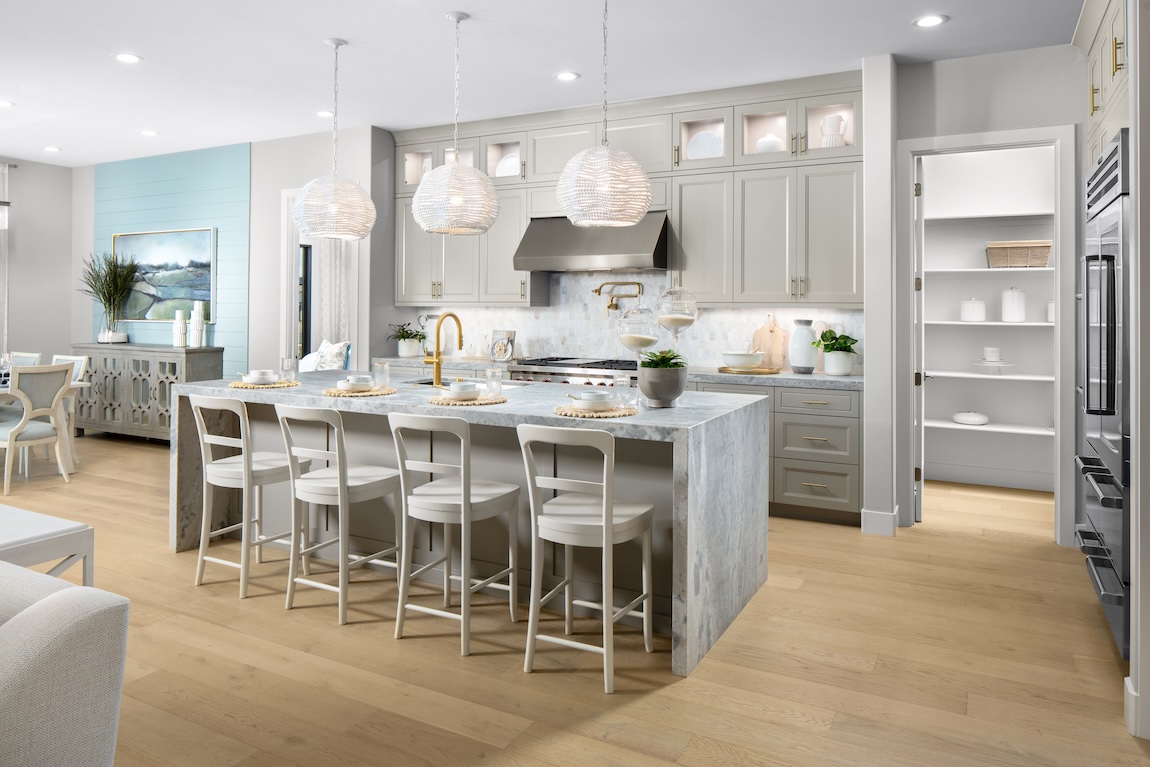 Modern kitchen design in Tracy, California